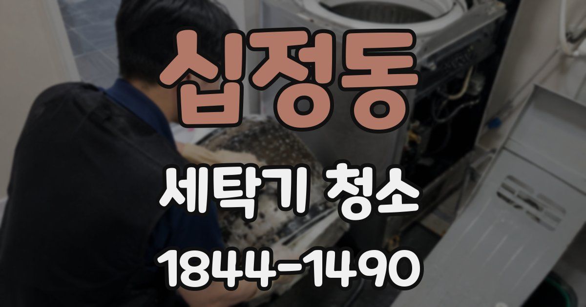 십정동 세탁기 청소