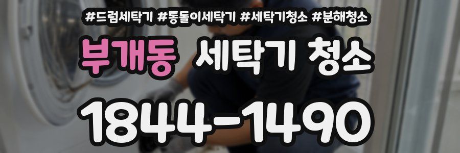 부개동 세탁기 청소