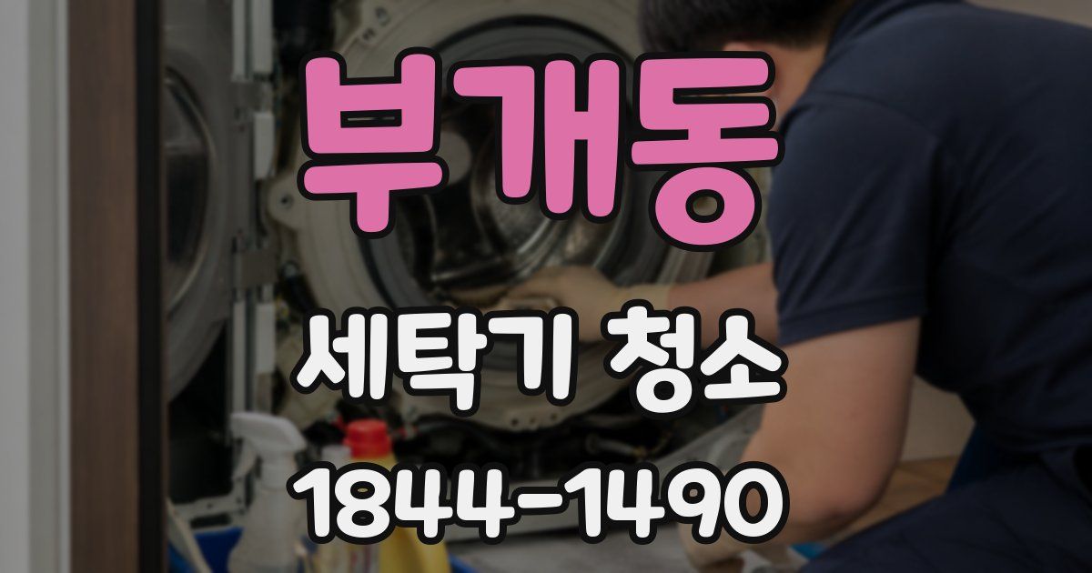 부개동 세탁기 청소
