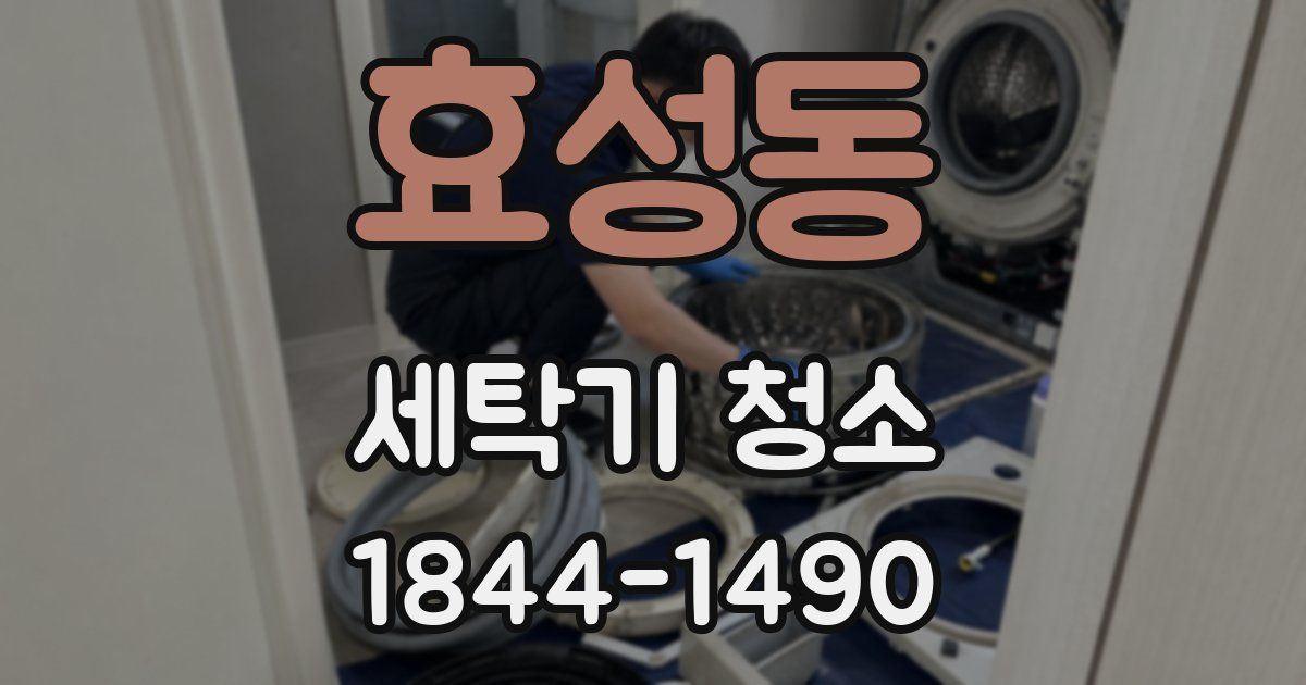 효성동 세탁기 청소