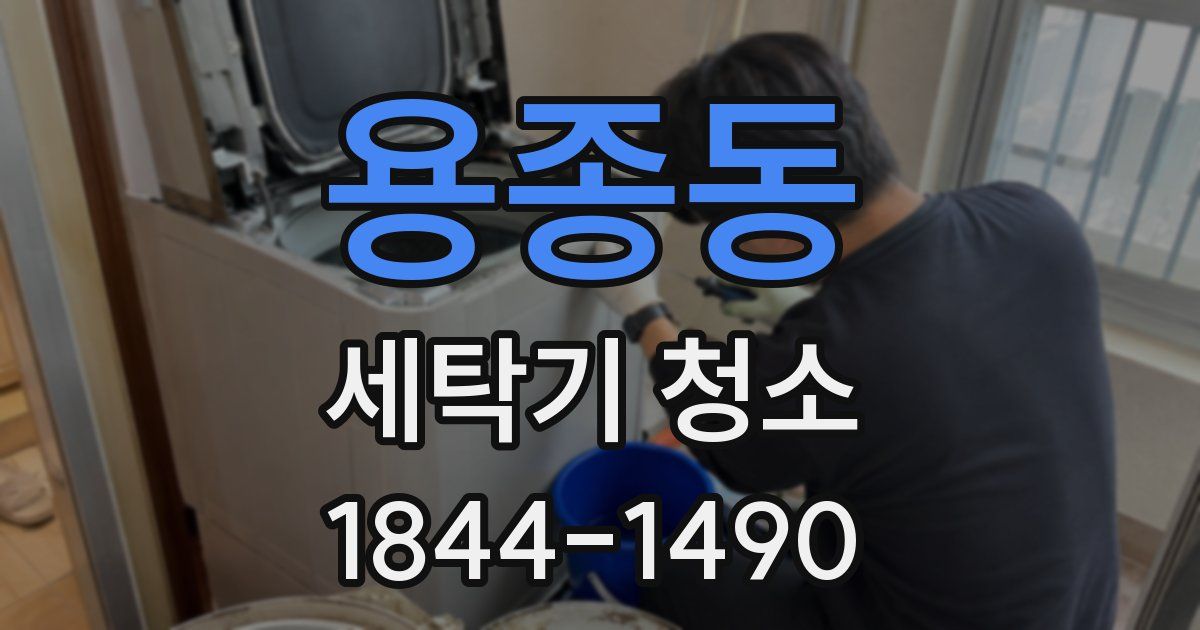 용종동 세탁기 청소