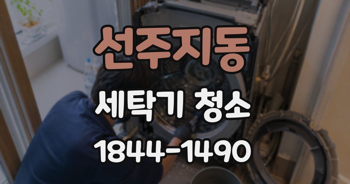 선주지동 세탁기 청소