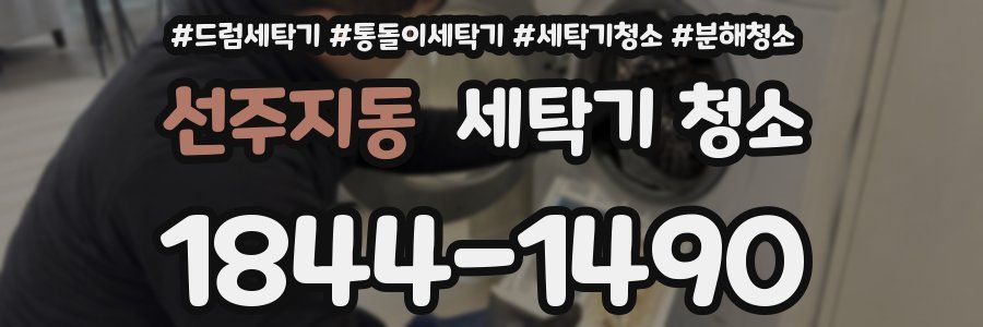 선주지동 세탁기 청소