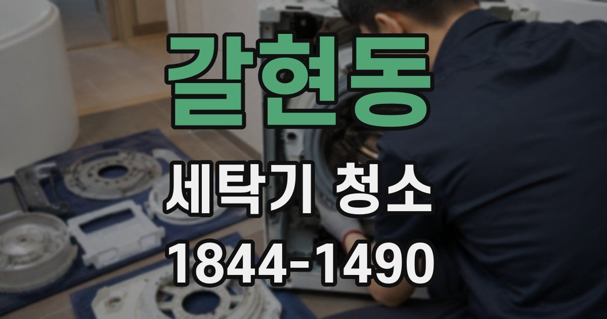 갈현동 세탁기 청소