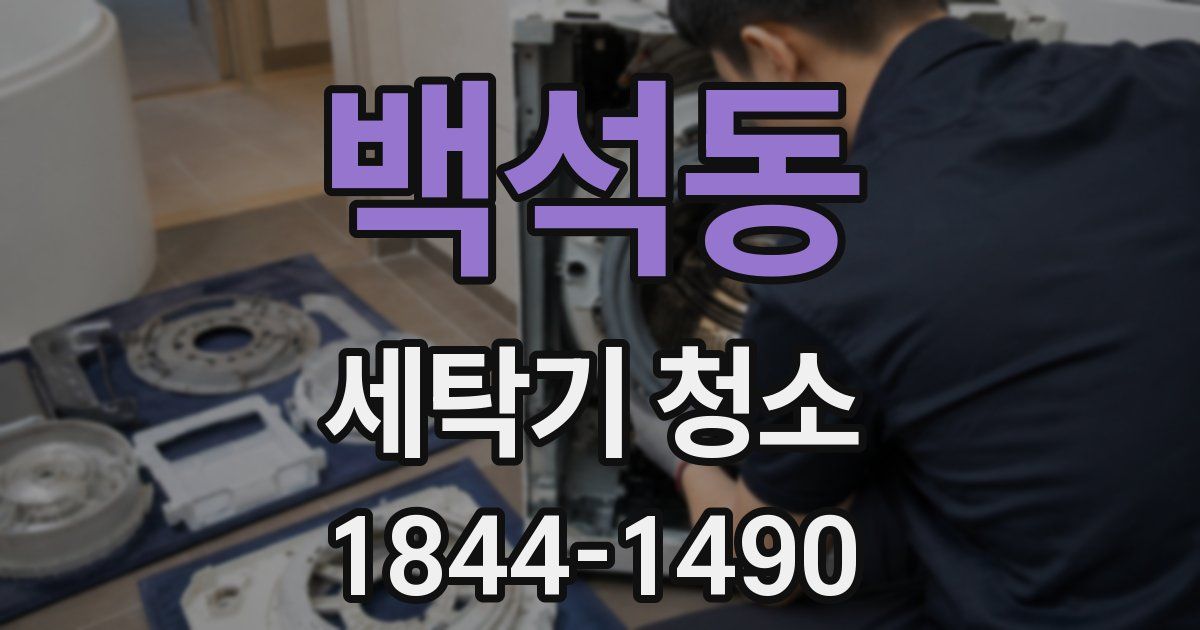 백석동 세탁기 청소