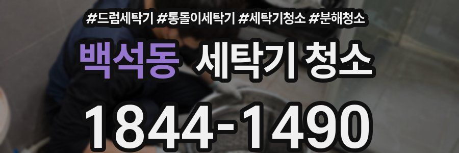 백석동 세탁기 청소