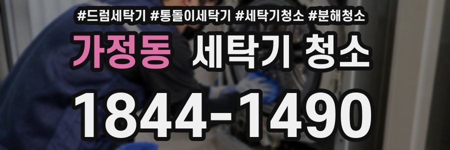 가정동 세탁기 청소