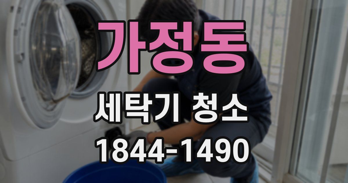 가정동 세탁기 청소