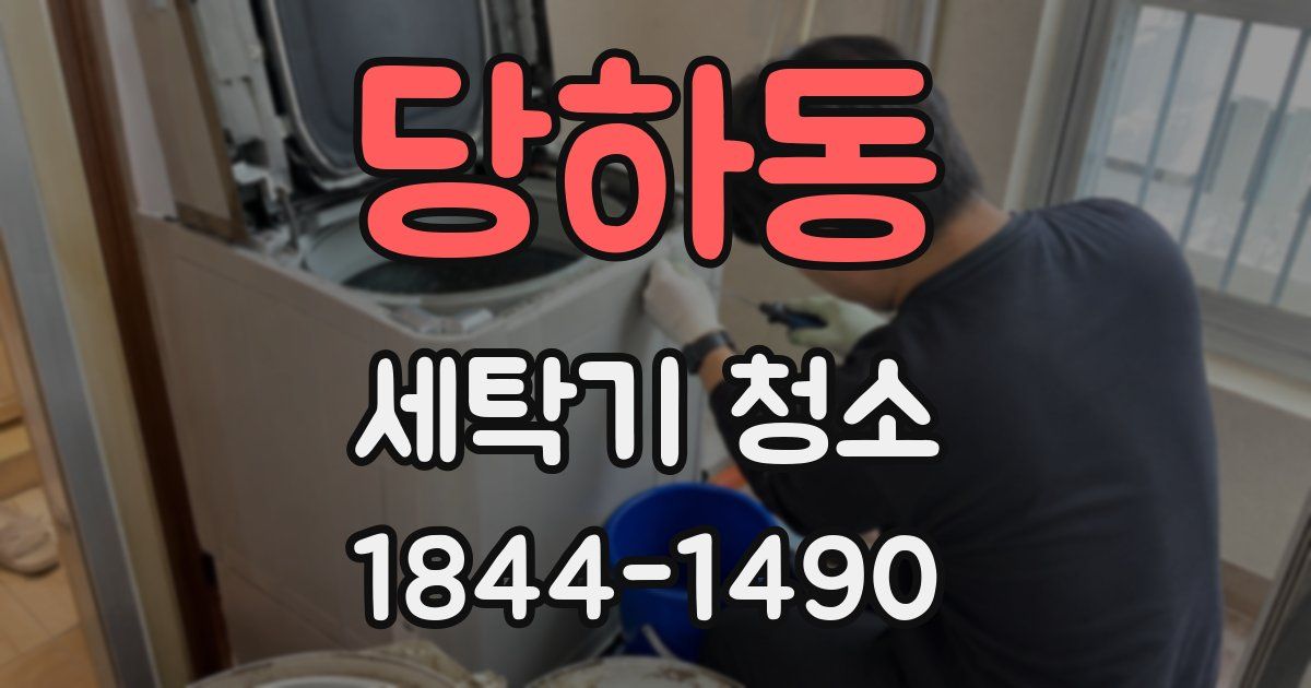 당하동 세탁기 청소