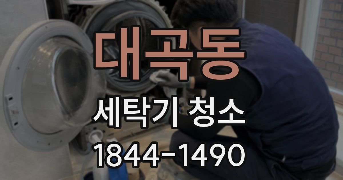 대곡동 세탁기 청소
