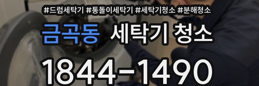 금곡동 세탁기 청소