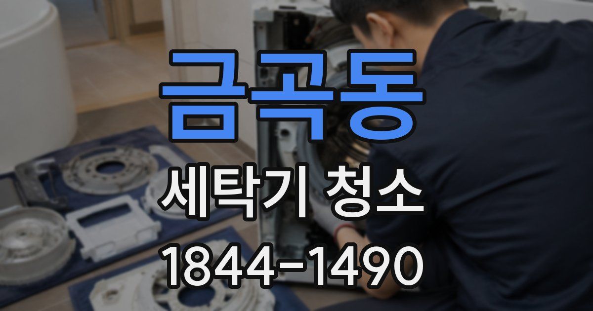 금곡동 세탁기 청소