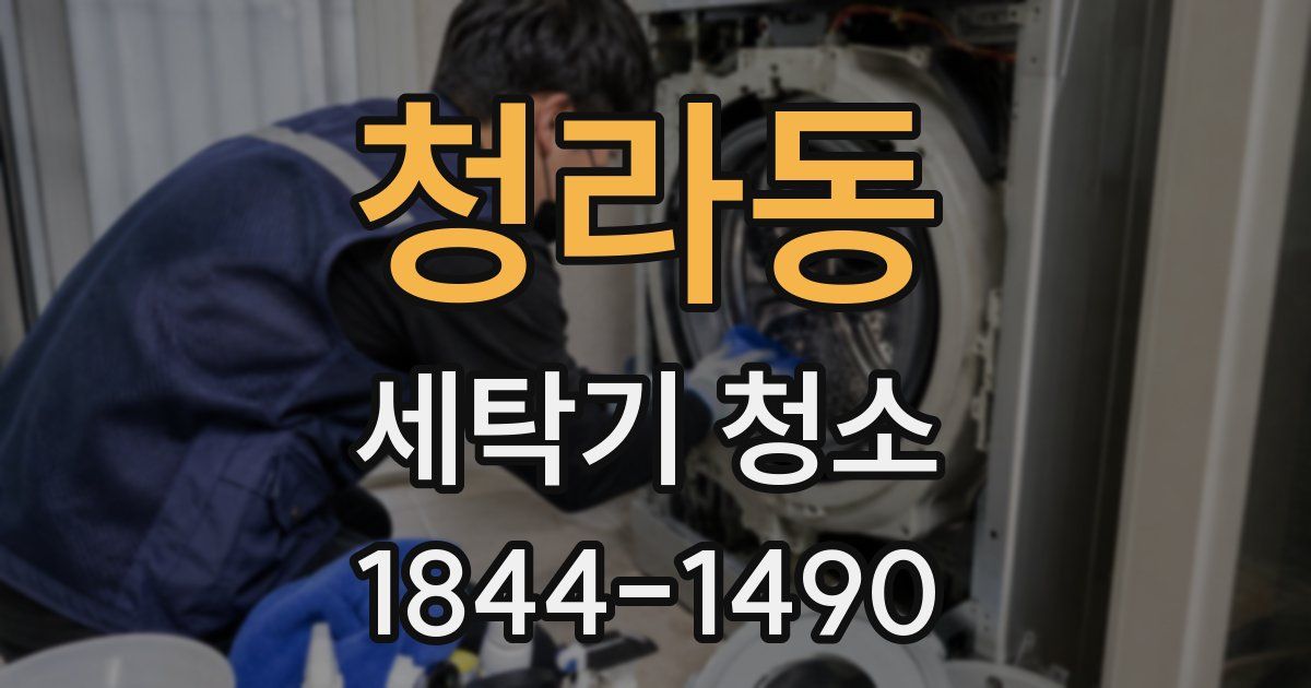 청라동 세탁기 청소