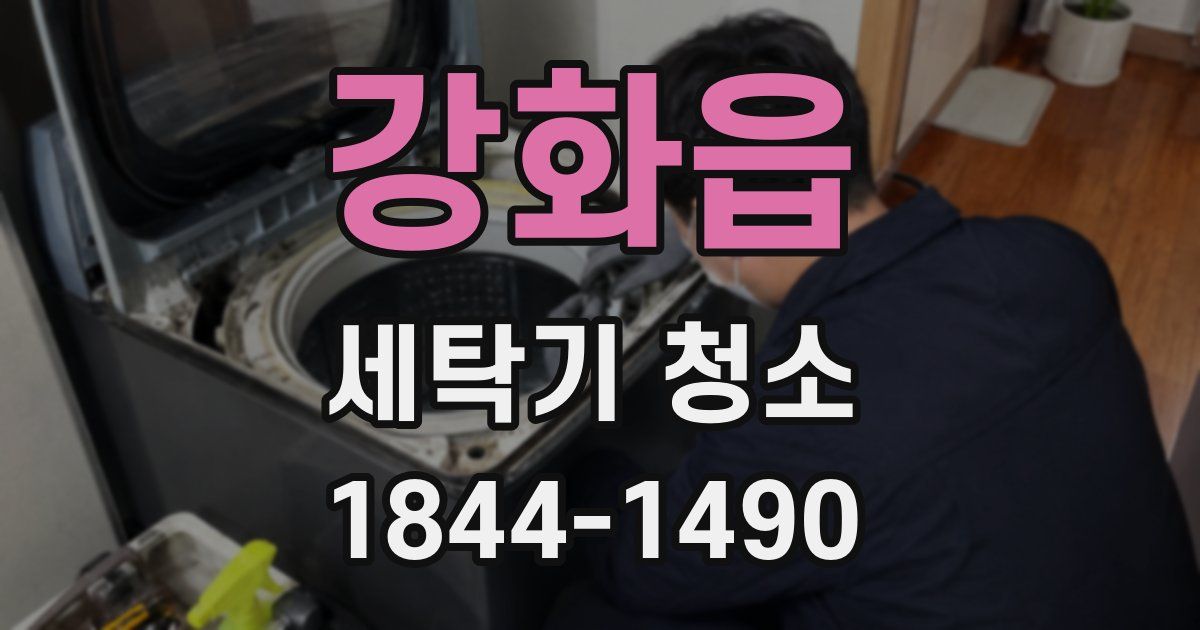 강화읍 세탁기 청소