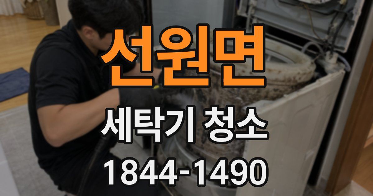 선원면 세탁기 청소