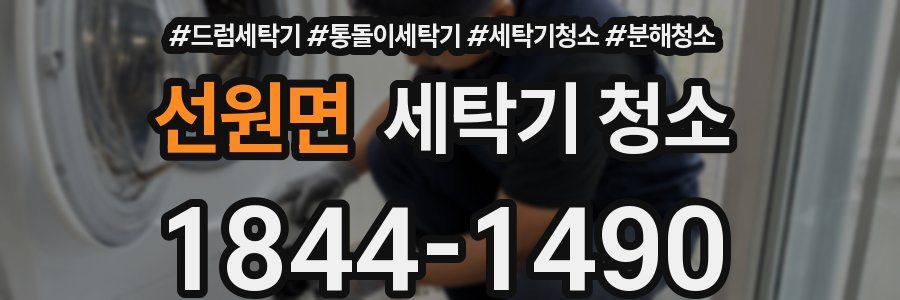 선원면 세탁기 청소