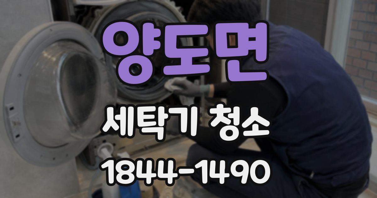 양도면 세탁기 청소