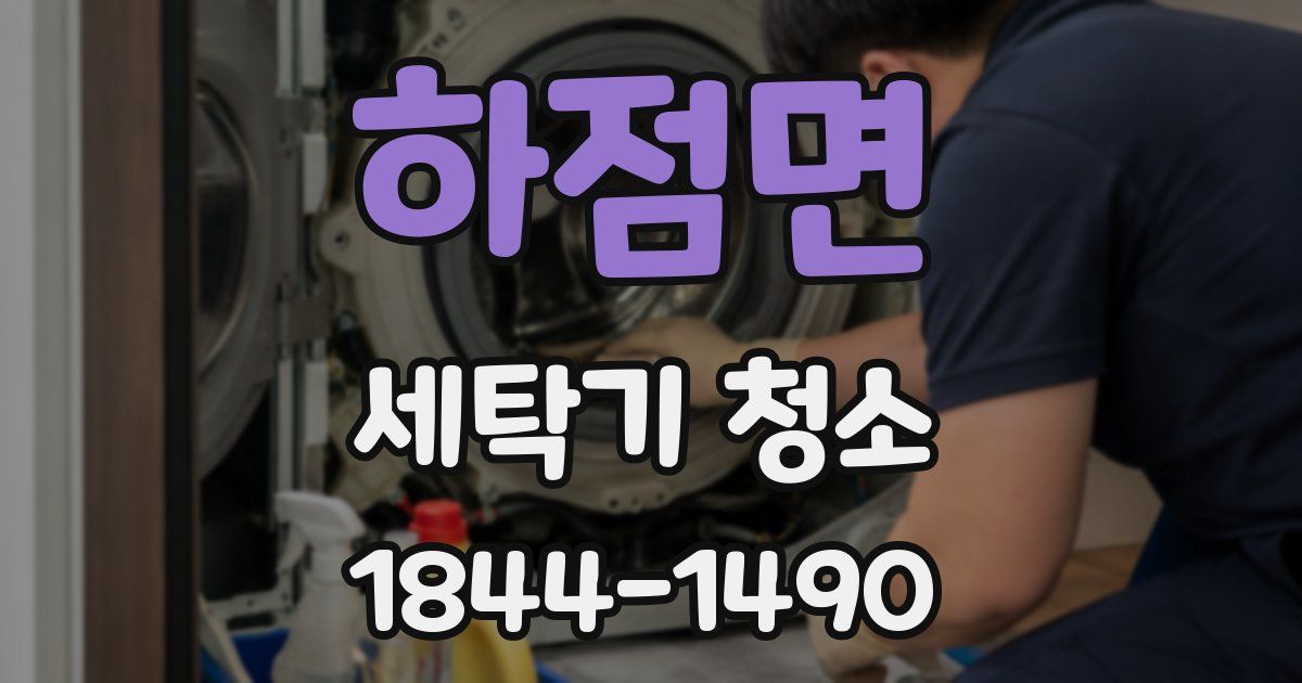 하점면 세탁기 청소