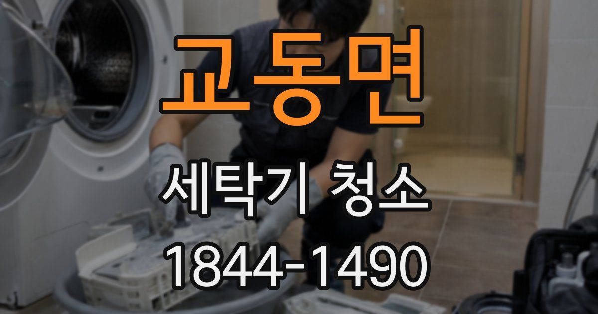 교동면 세탁기 청소