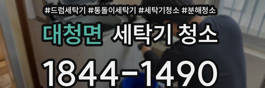 대청면 세탁기 청소