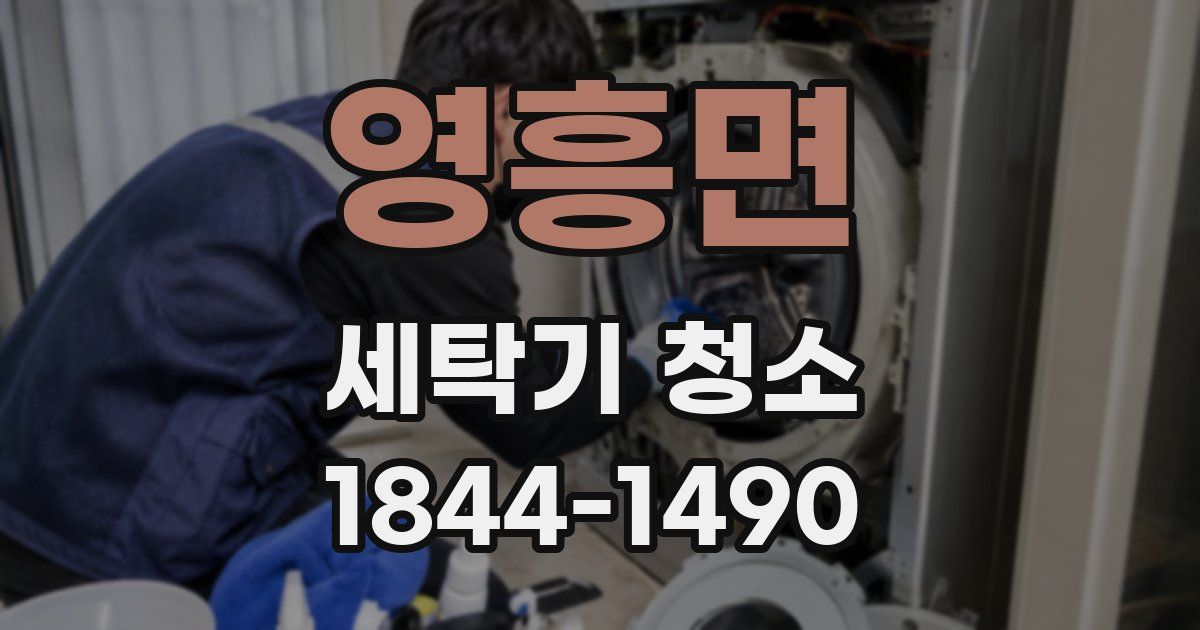 영흥면 세탁기 청소