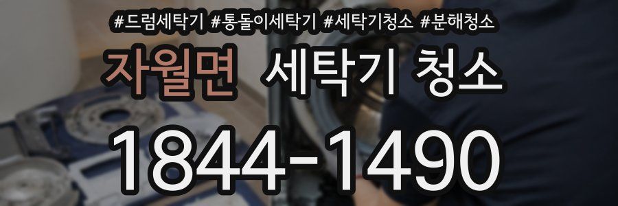 자월면 세탁기 청소