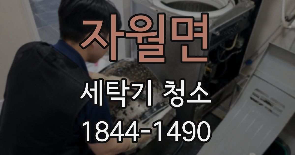 자월면 세탁기 청소