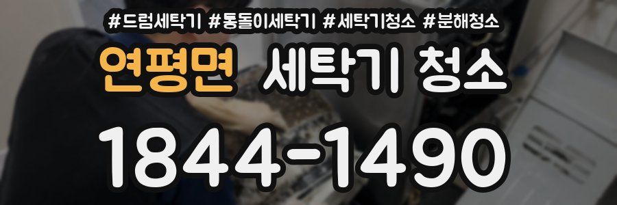 연평면 세탁기 청소