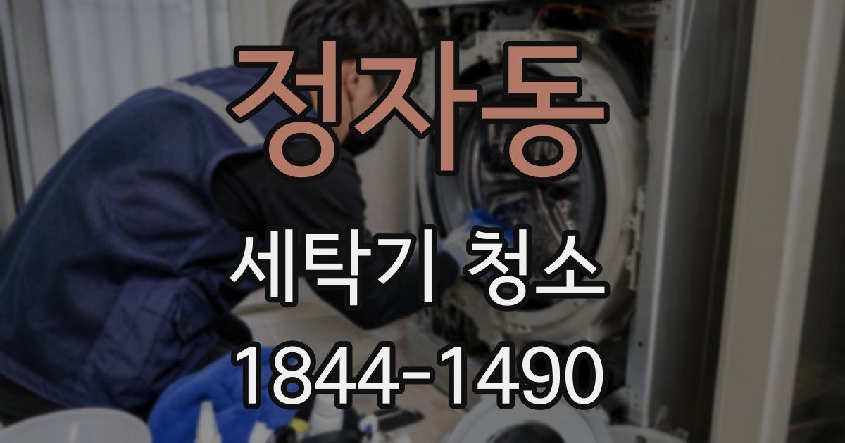 정자동 세탁기 청소
