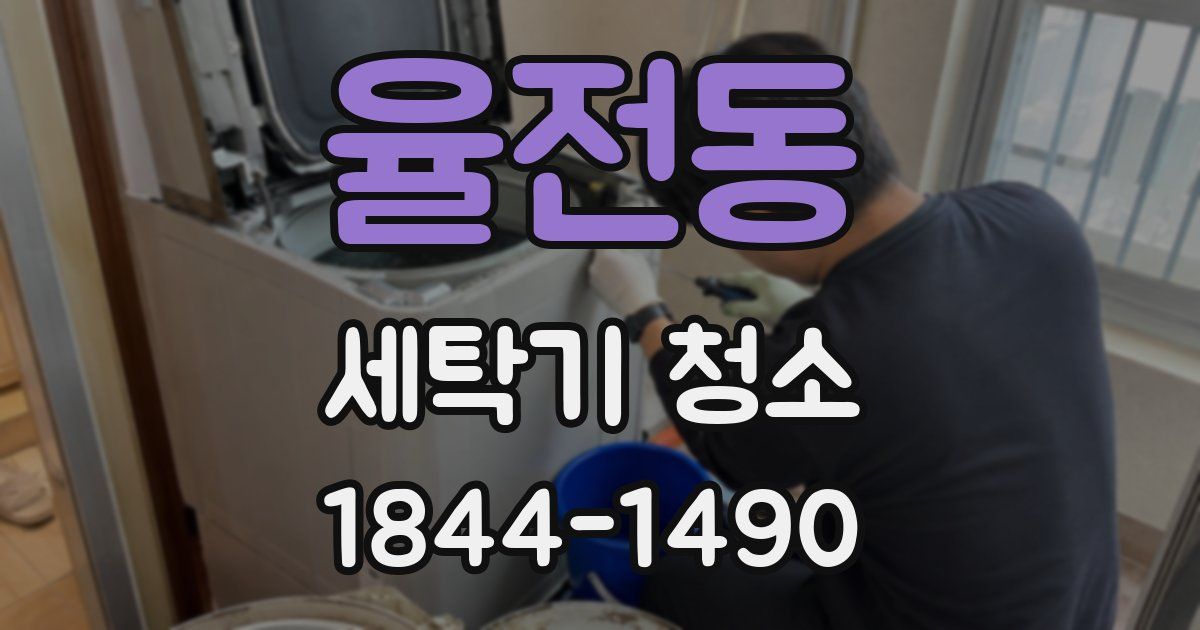 율전동 세탁기 청소