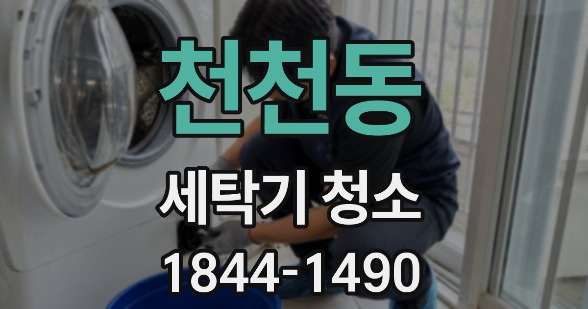 천천동 세탁기 청소