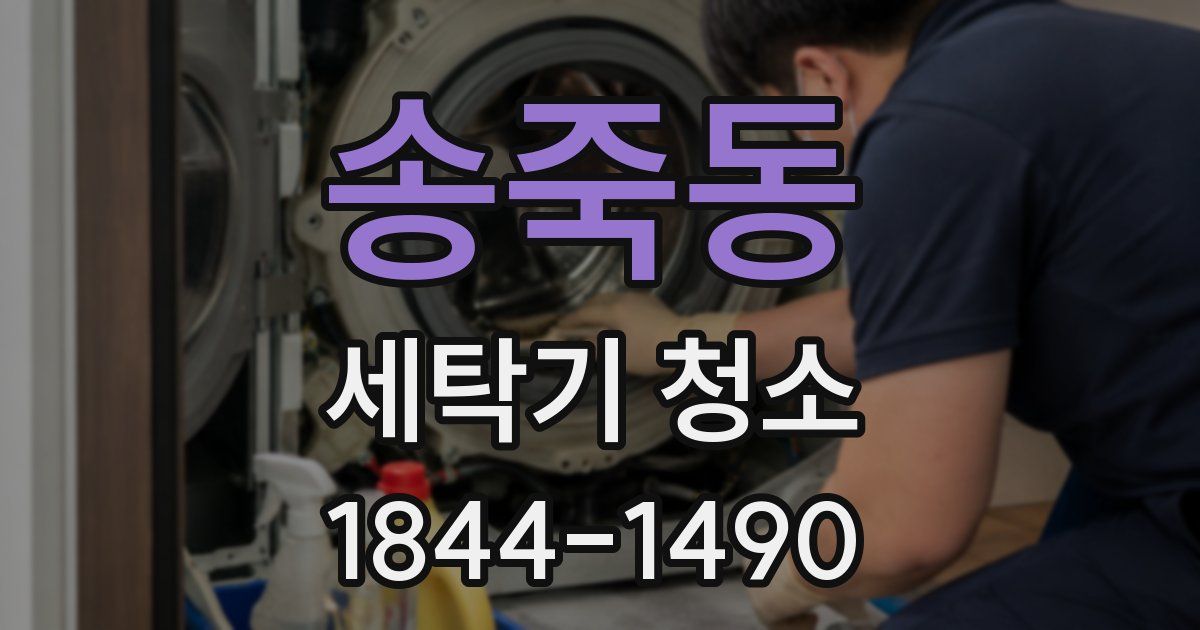 송죽동 세탁기 청소