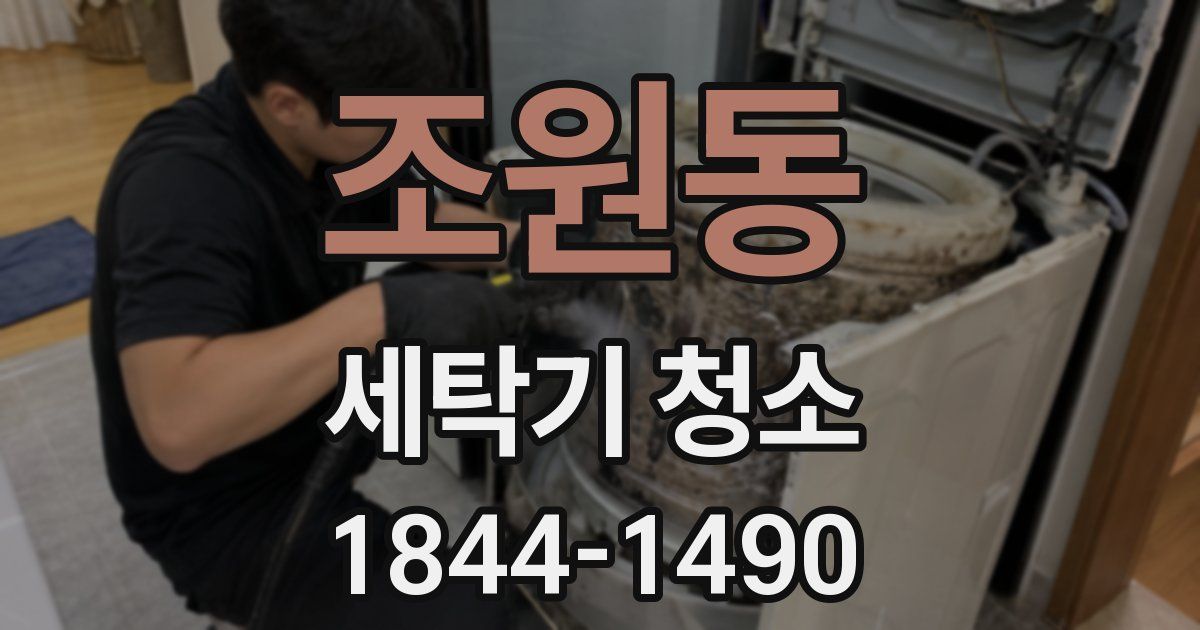 조원동 세탁기 청소