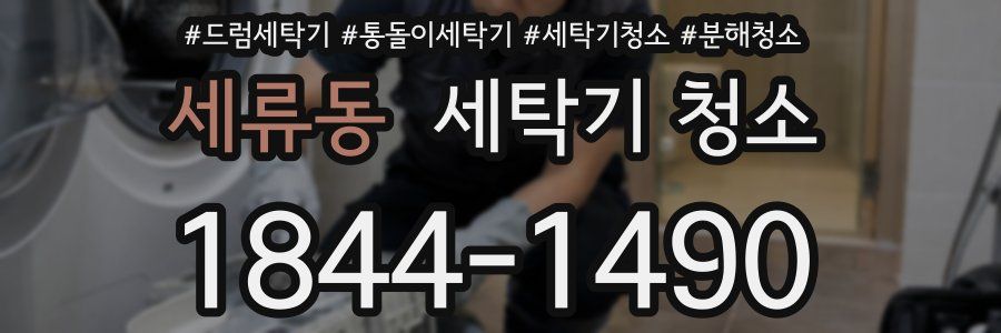 세류동 세탁기 청소