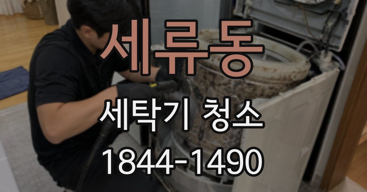 세류동 세탁기 청소