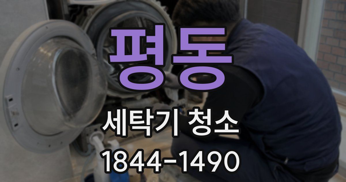 평동 세탁기 청소