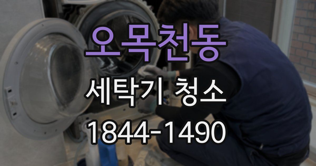 오목천동 세탁기 청소