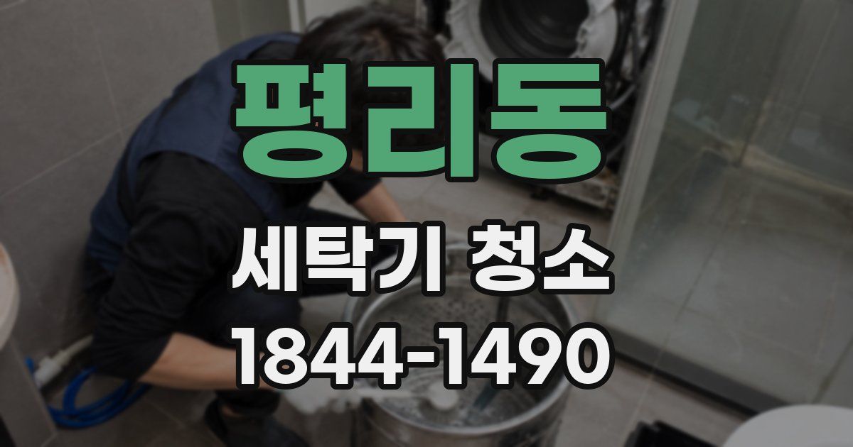 평리동 세탁기 청소