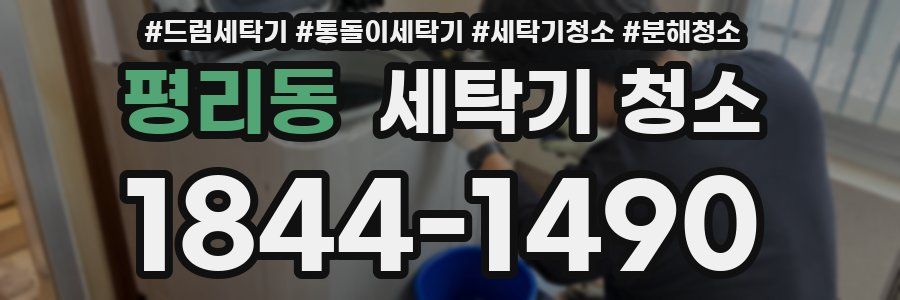 평리동 세탁기 청소