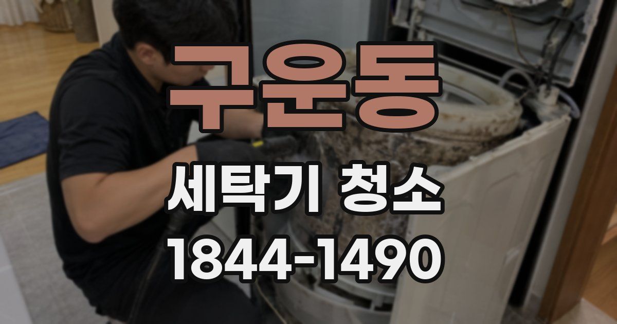 구운동 세탁기 청소
