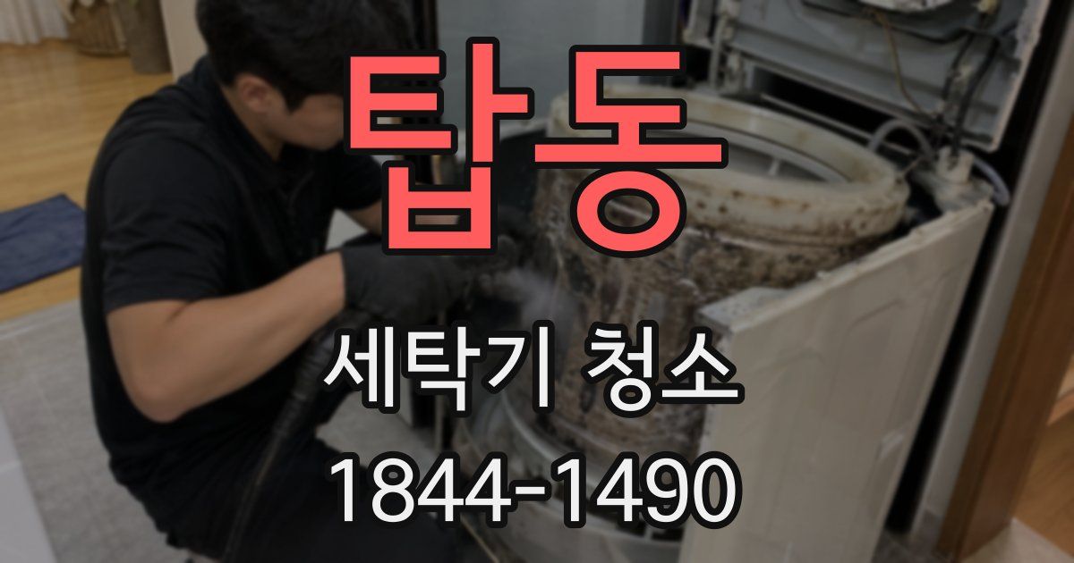 탑동 세탁기 청소
