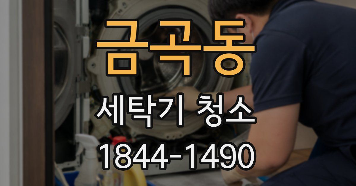 금곡동 세탁기 청소