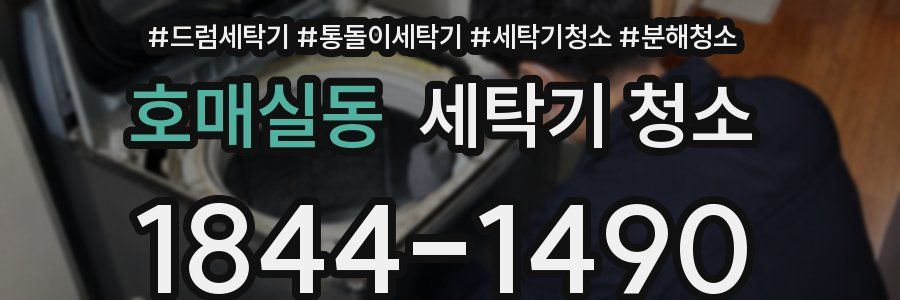 호매실동 세탁기 청소