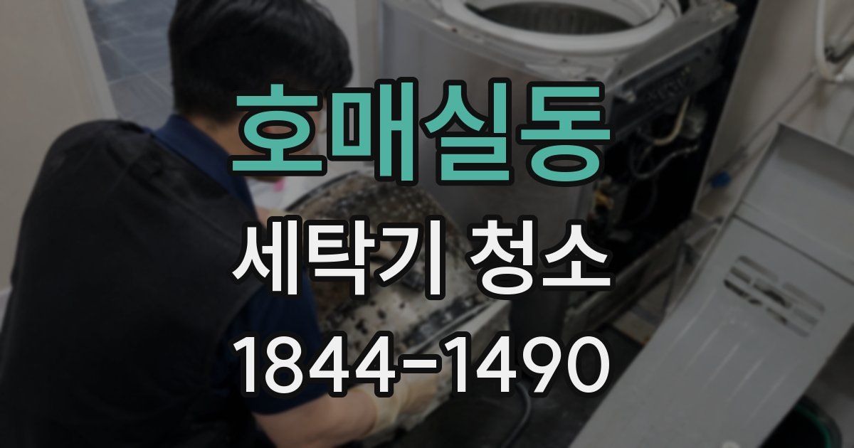 호매실동 세탁기 청소
