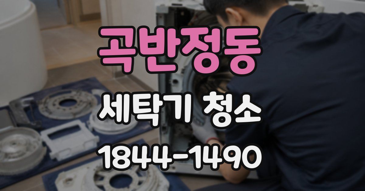 곡반정동 세탁기 청소