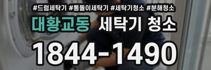 대황교동 세탁기 청소