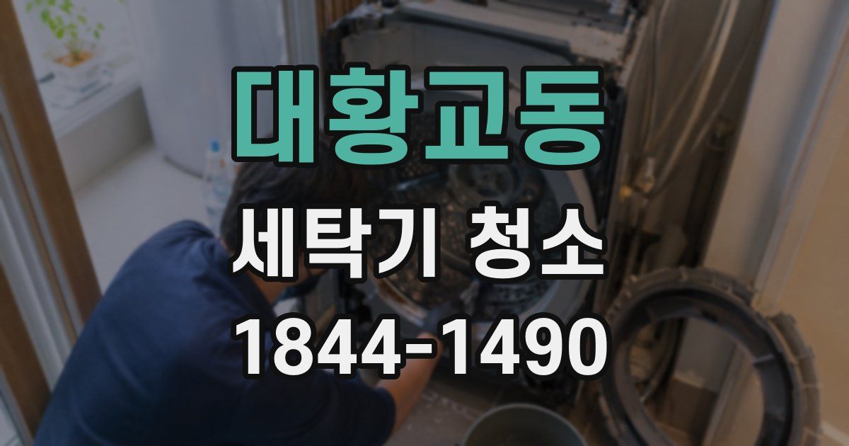 대황교동 세탁기 청소