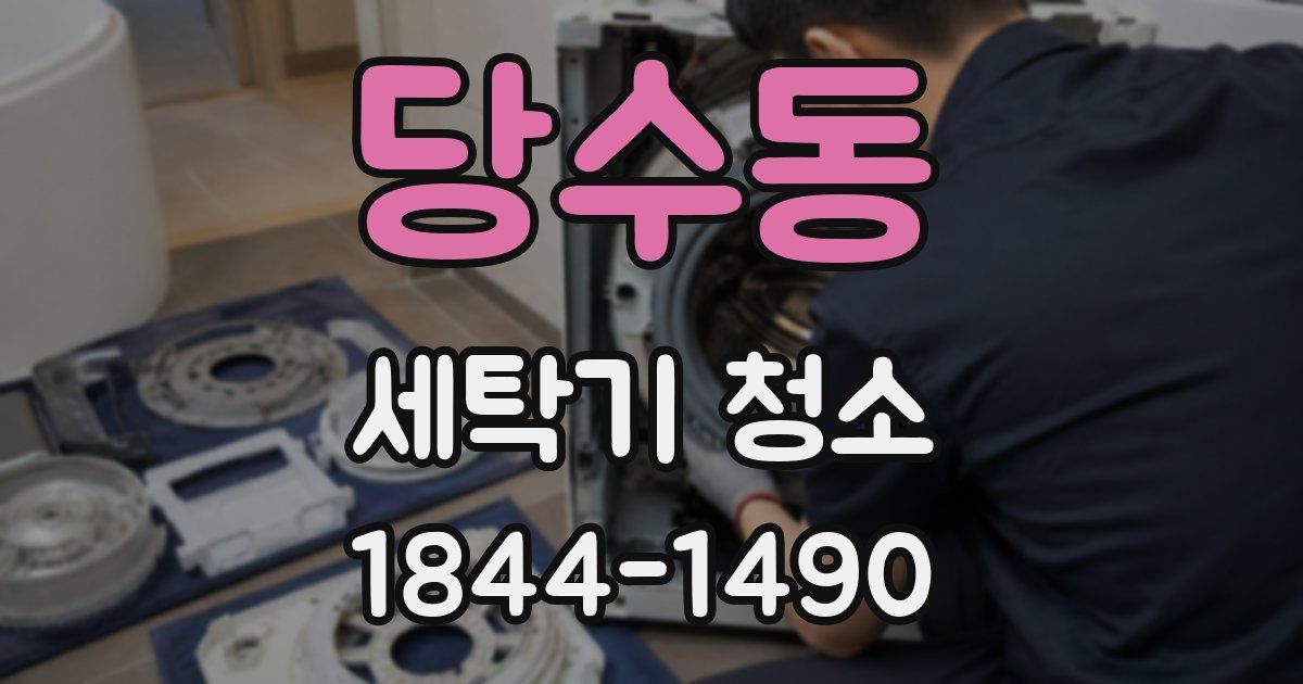 당수동 세탁기 청소