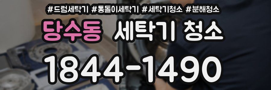 당수동 세탁기 청소