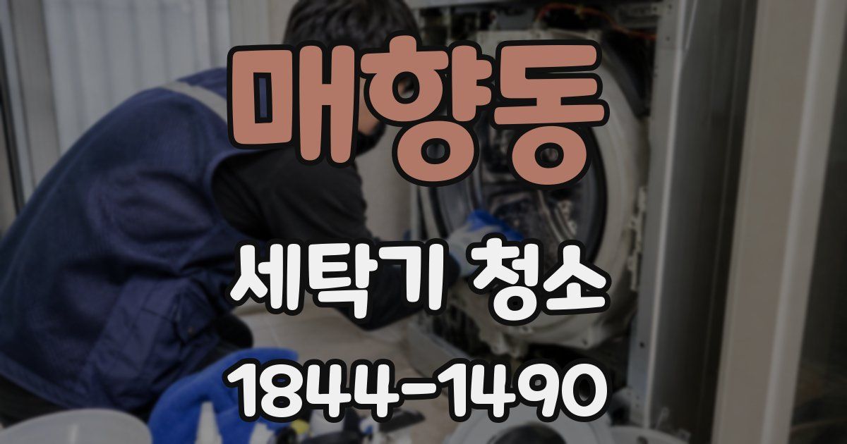 매향동 세탁기 청소